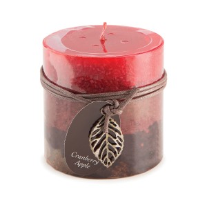 Charlton Home Cranberry Apple Scented Votive Candle DEIC2090